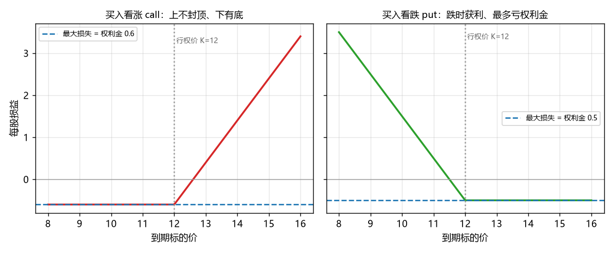 期权到期损益:买入 call / put